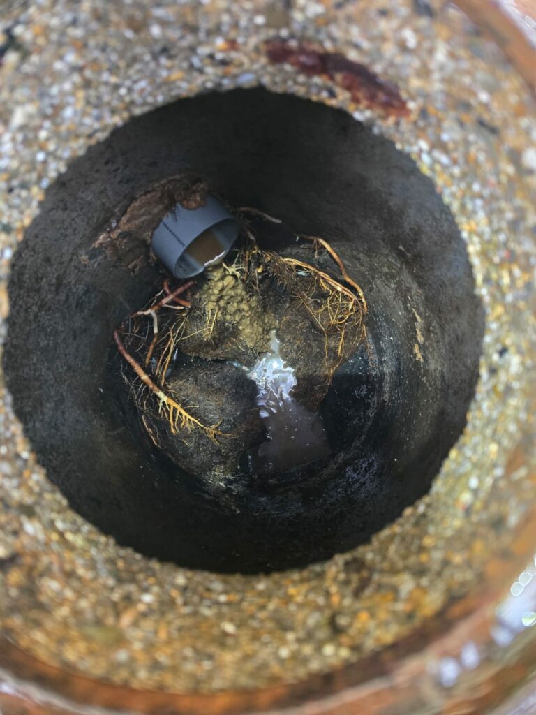 Hydrocurage de canalisations suite à des racine Hydrocurage de canalisations suite à des racine